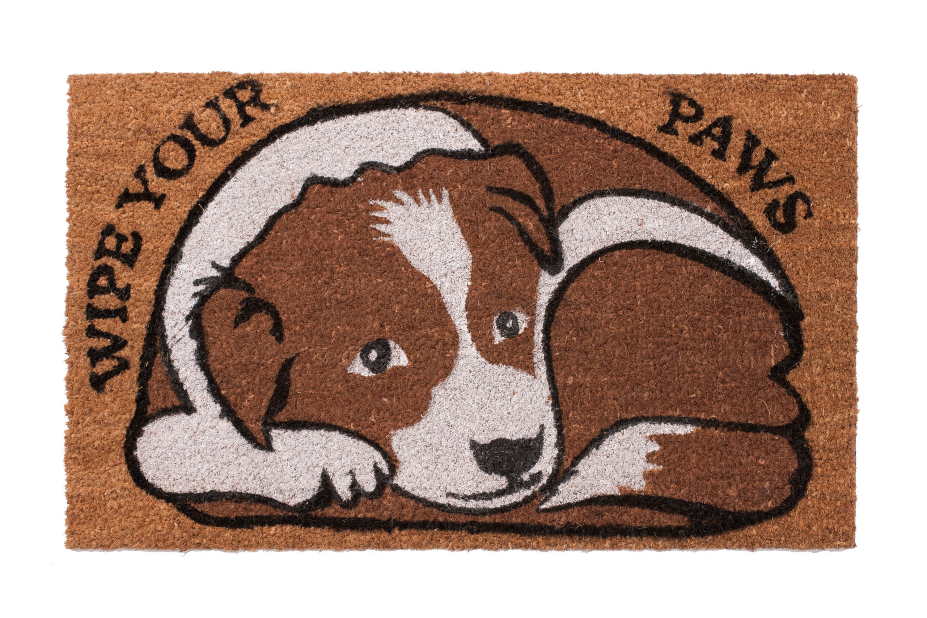 Wipe Your Paws Door Mat – Coir Outdoor Pet Welcome Entry Mat