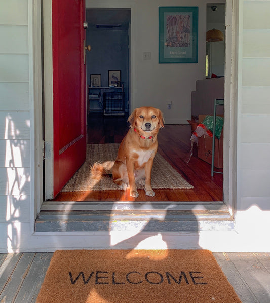 Dog sitting on a natural coir doormat at a home front door