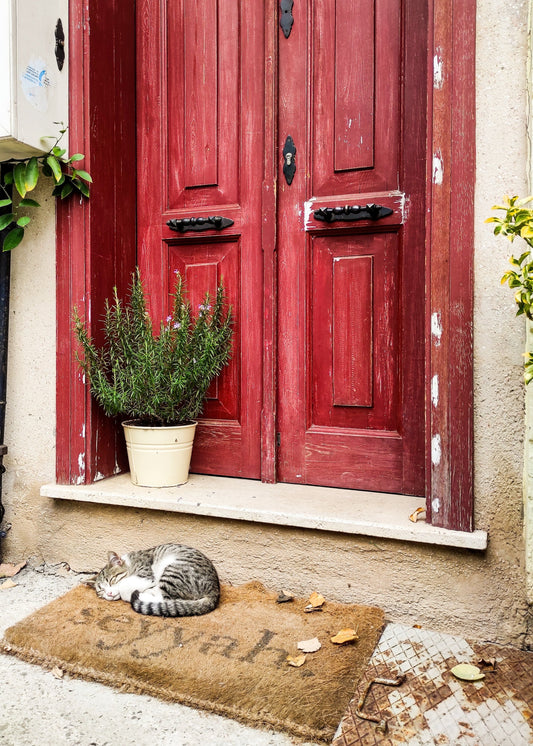Natural coir doormat with a personalized monogram at a home front door