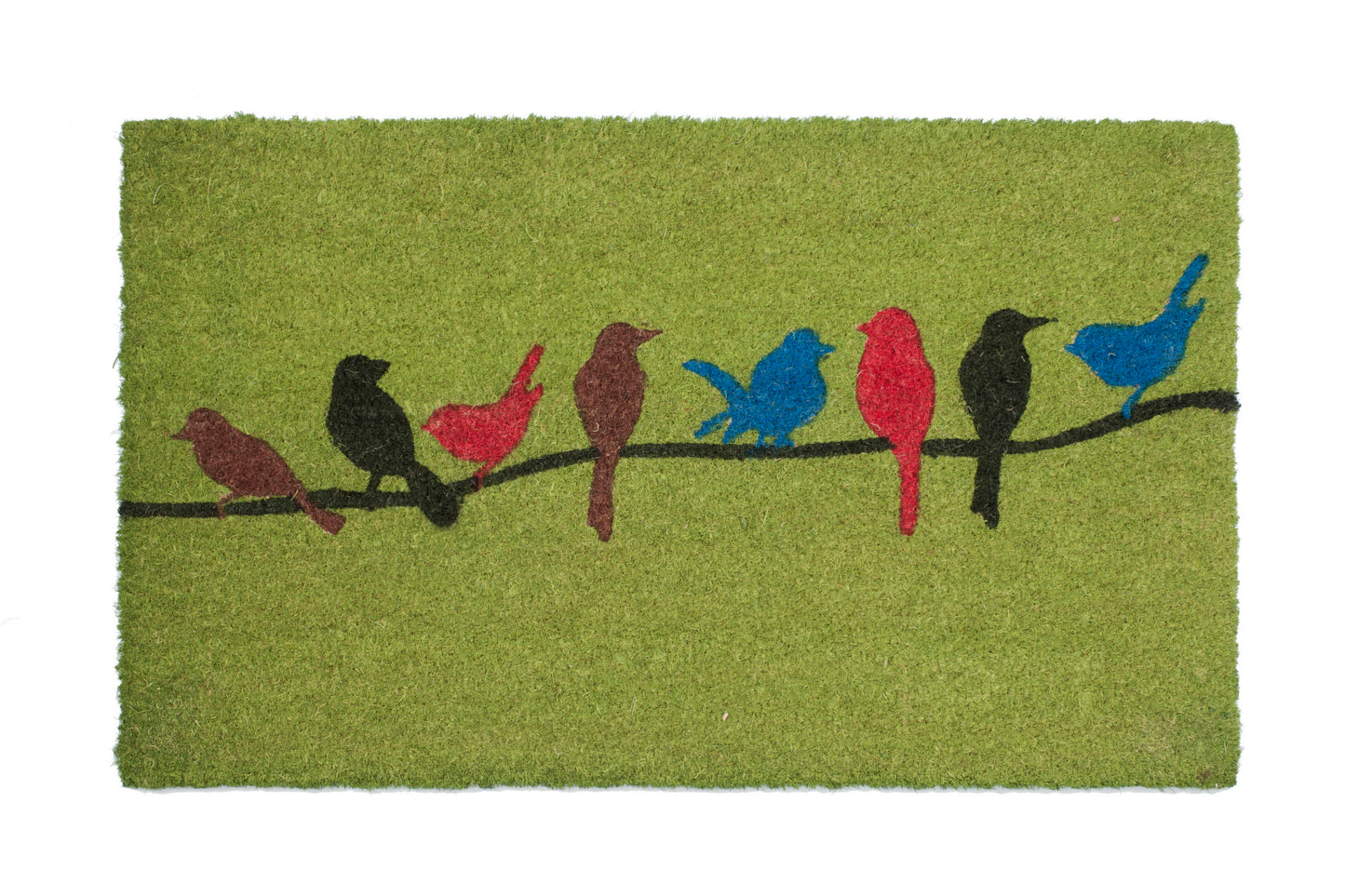 Doormat with colorful birds design on a green background